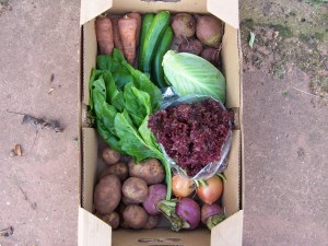 vegbox